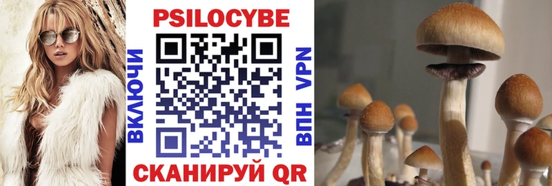 Галлюциногенные грибы GOLDEN TEACHER  даркнет сайт  Нарьян-Мар 